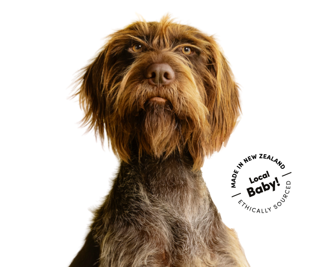 hero image - desktop